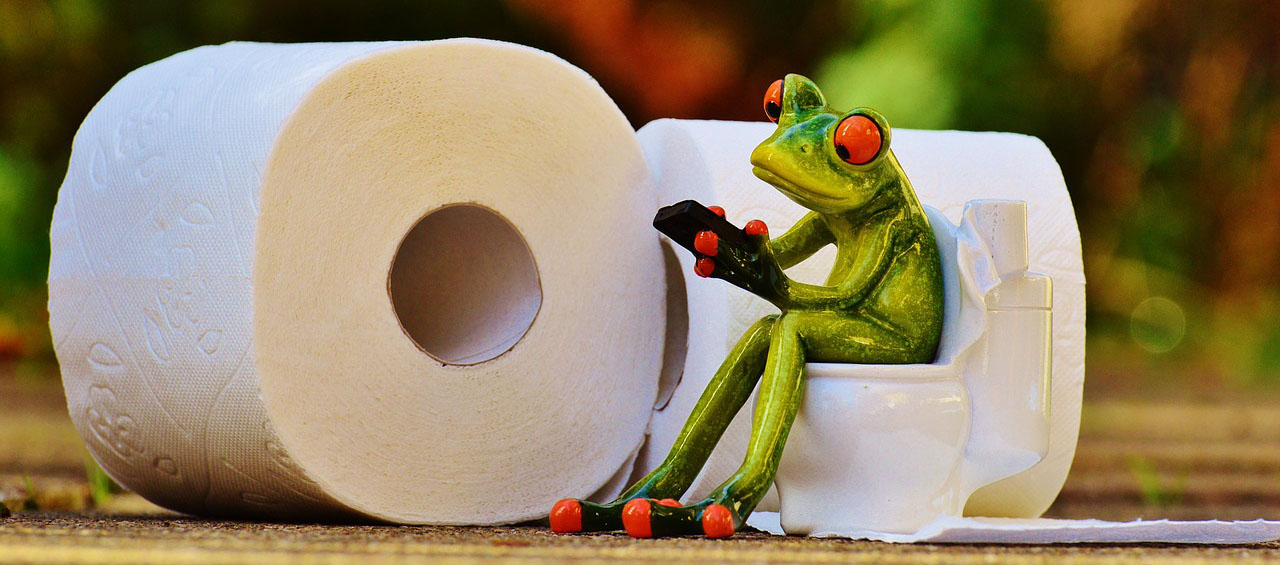 Frog on toilet figurine by toilet papers