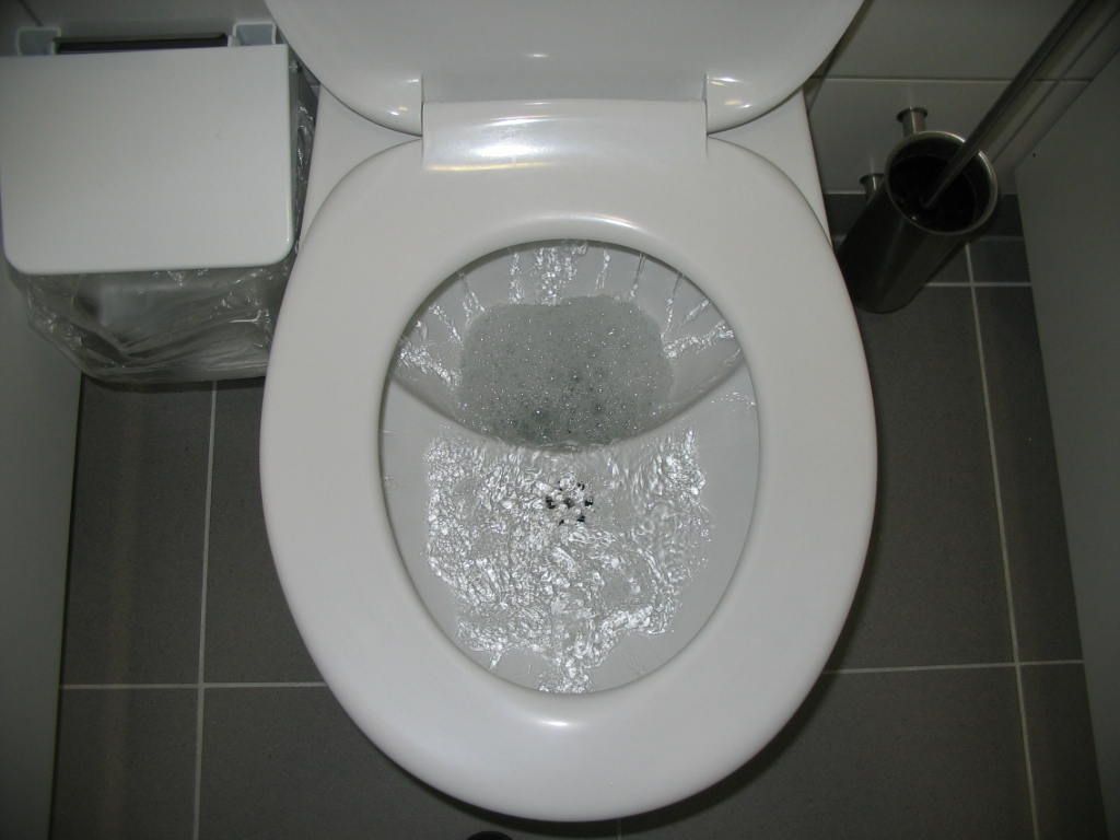 flush the toilet severally to remove all the vinegar and baking soda
